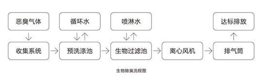 圖片12
